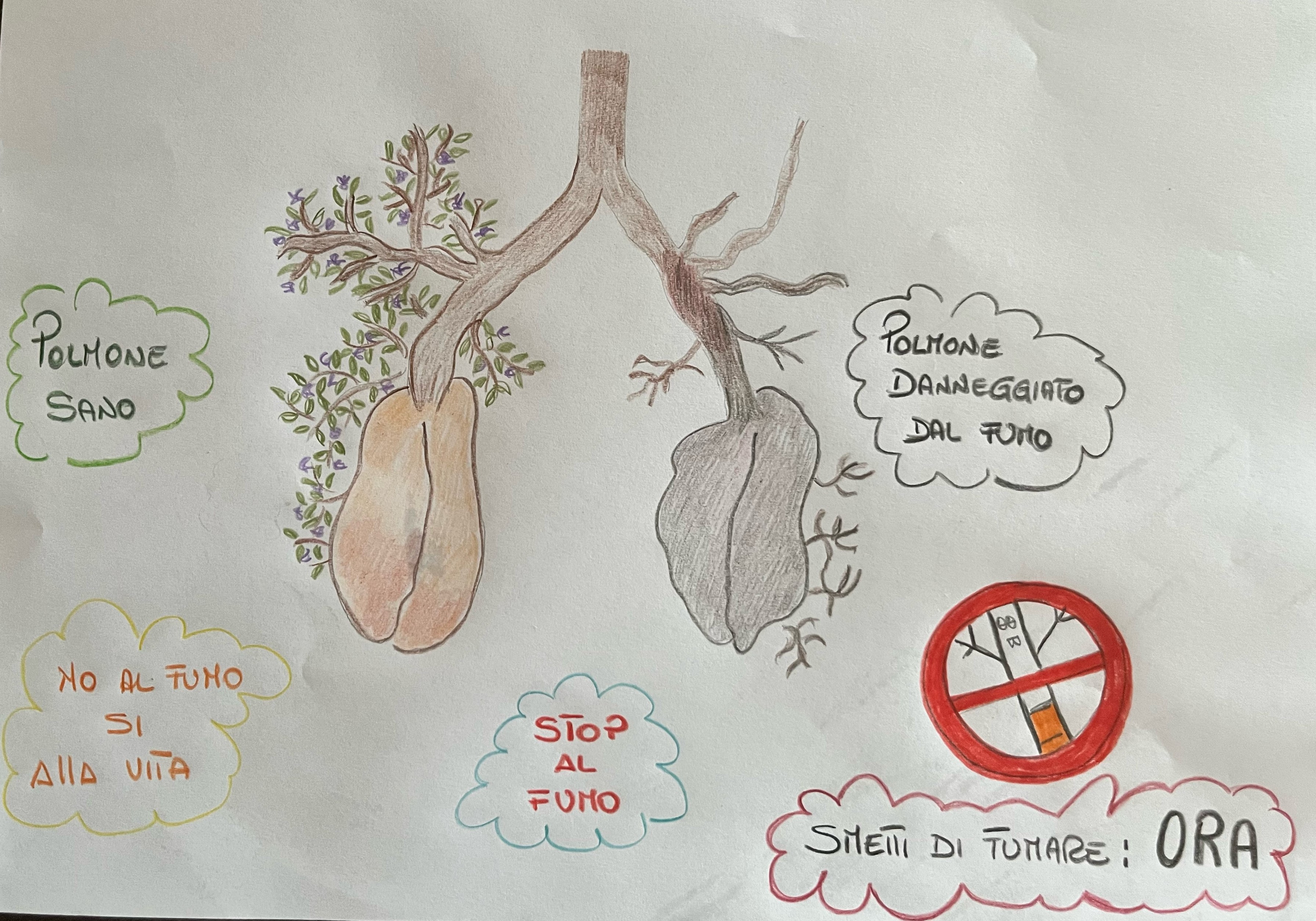 Elaborato classe "1 LSQ (Stefania Zorzin - [VRPS01500P] LICEO SCIENTIFICO ALEARDO ALEARDI (VR) - SEC. II GR.)"