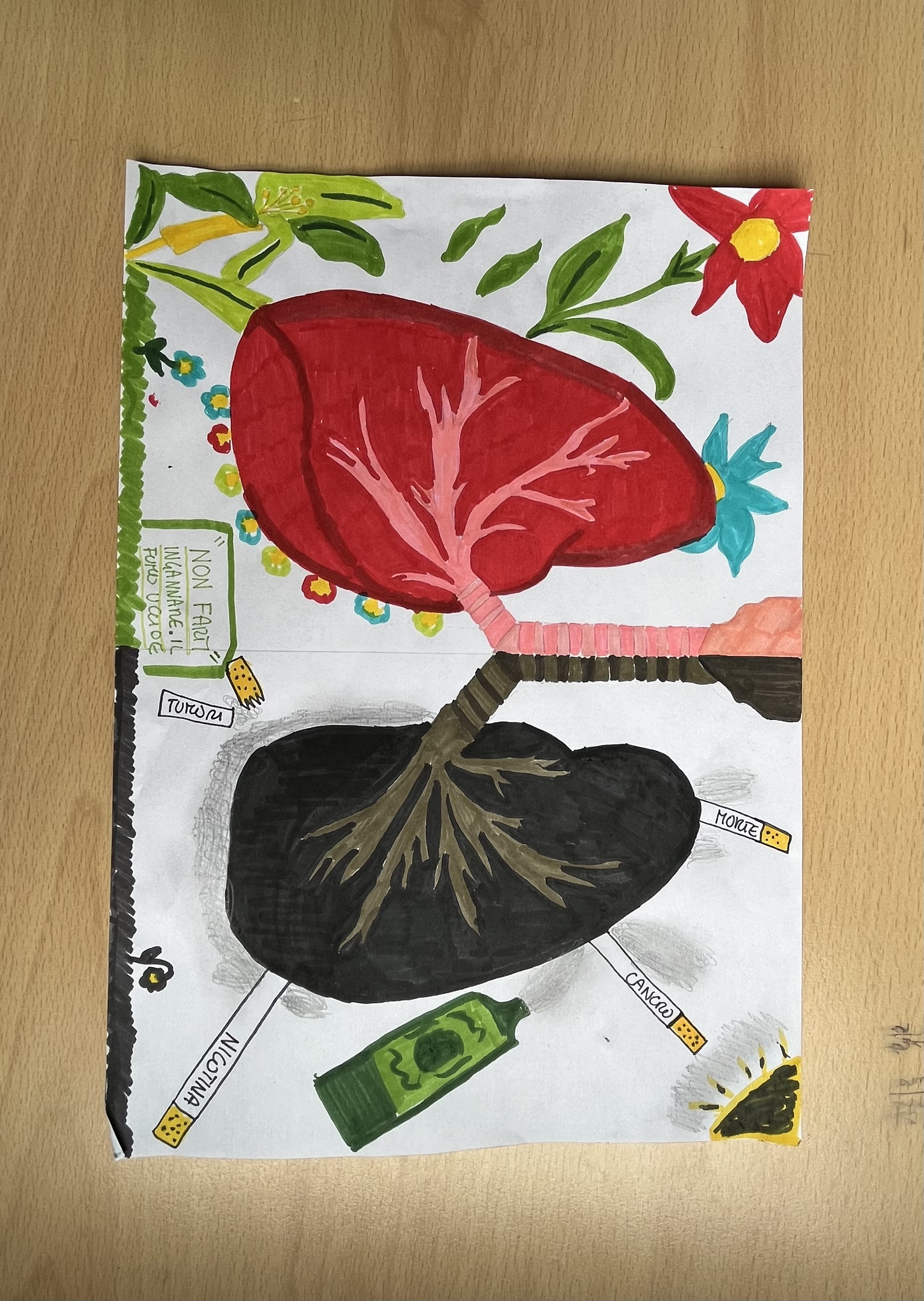 Elaborato classe "1 M (Elisa Zini - [MITD450009] LICEO E ISTITUTO TECNICO-E. DA ROTTERDAM (MI) - SEC. II GR.)"