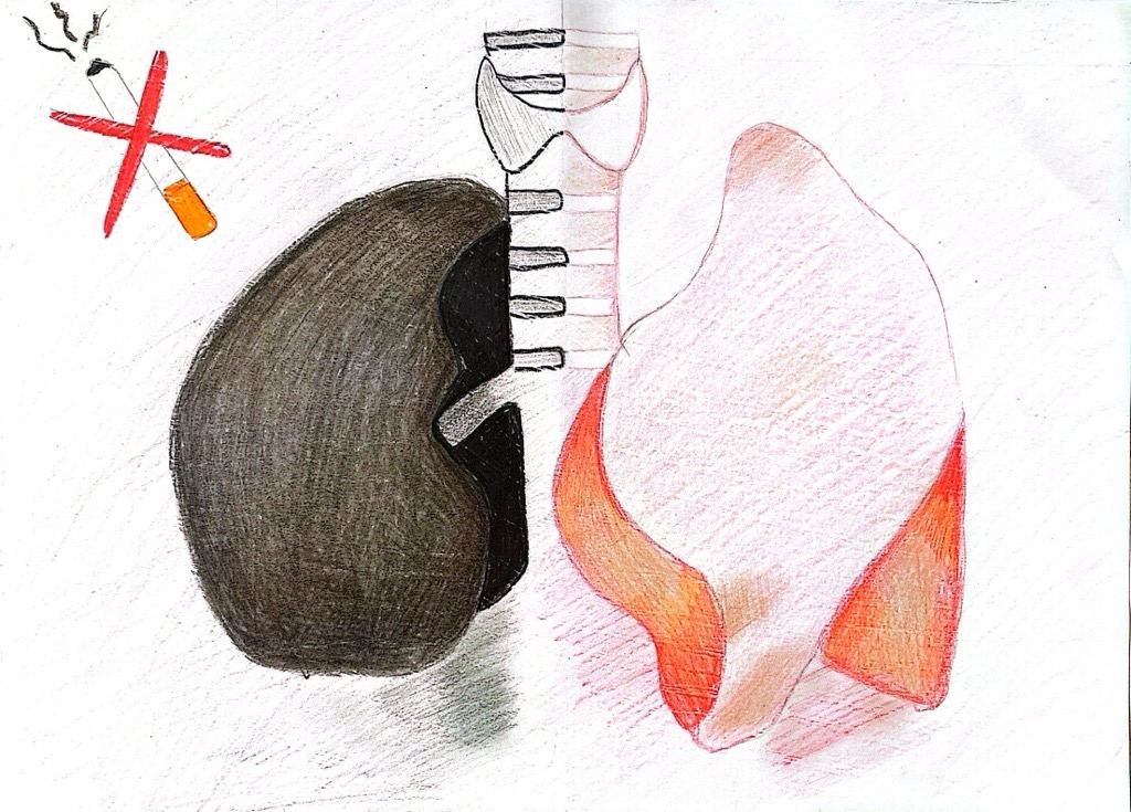 Elaborato classe "3 A (Simonetta Galleni - [LUPS01901X] "MICHELANGELO" (LU) - SEC. II GR.)"